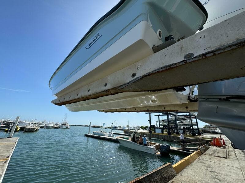 2022 Boston Whaler 250 Dauntless