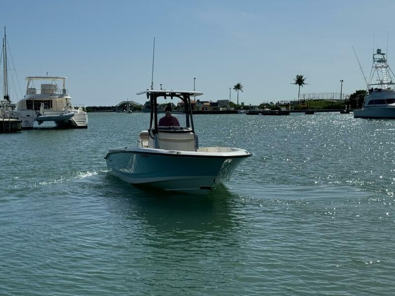 2022 Boston Whaler 250 Dauntless