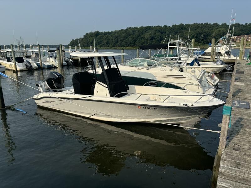 2023 Boston Whaler 250 Dauntless