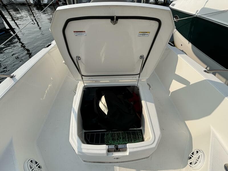 2023 Boston Whaler 250 Dauntless
