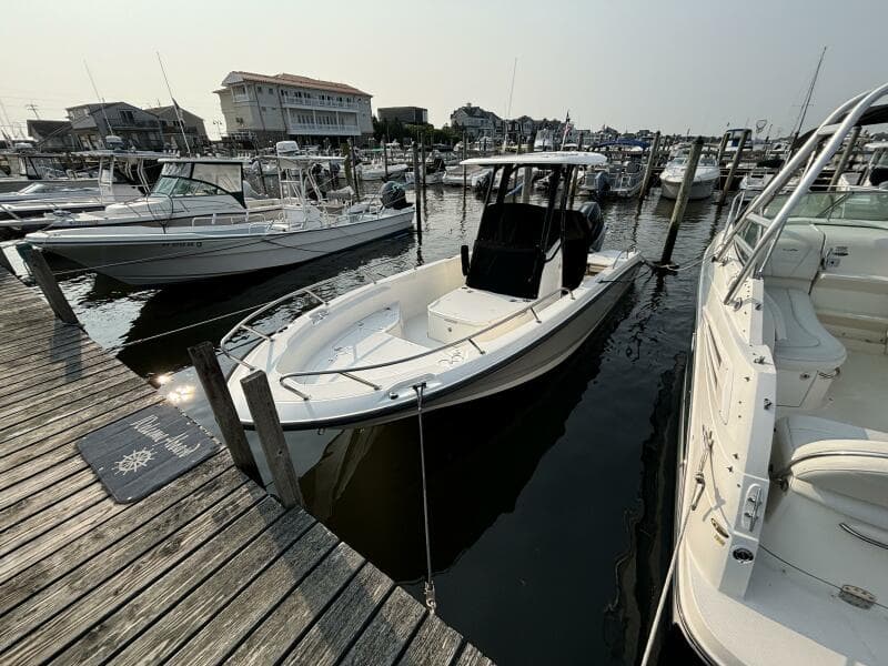 2023 Boston Whaler 250 Dauntless