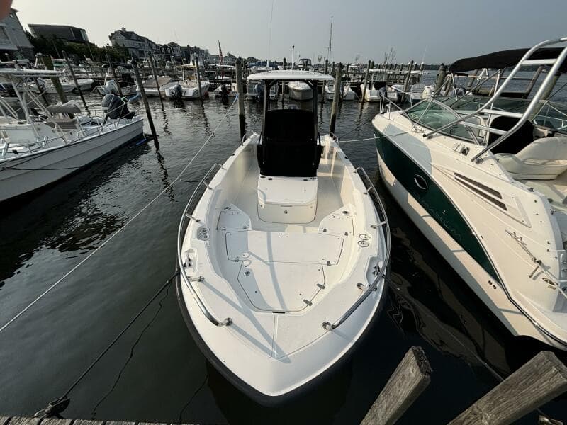 2023 Boston Whaler 250 Dauntless