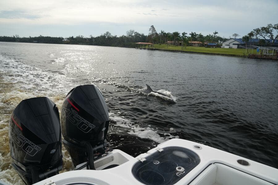 2022 Invincible 46 Catamaran