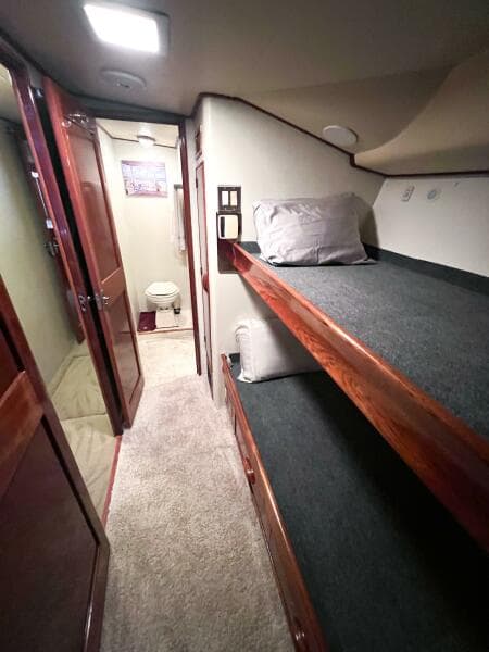 1987 Buddy Davis 61 Convertible