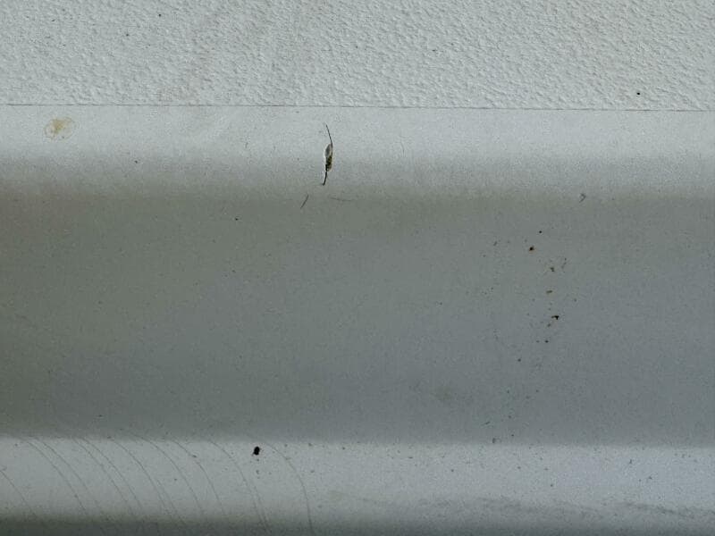 2004 Rinker 342 Fiesta Vee