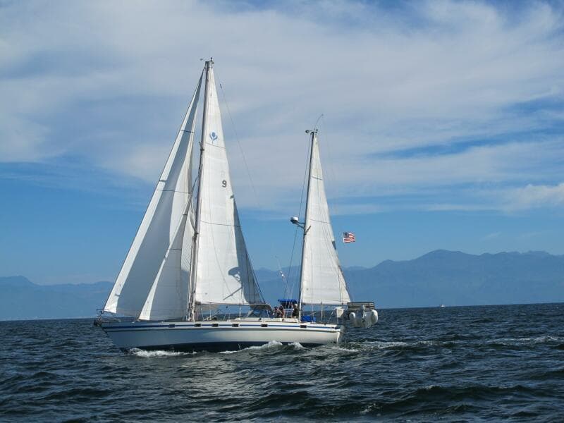 1984 Contest Conyplex - Contest