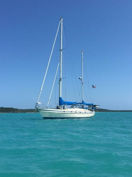 1984 Contest Conyplex - Contest