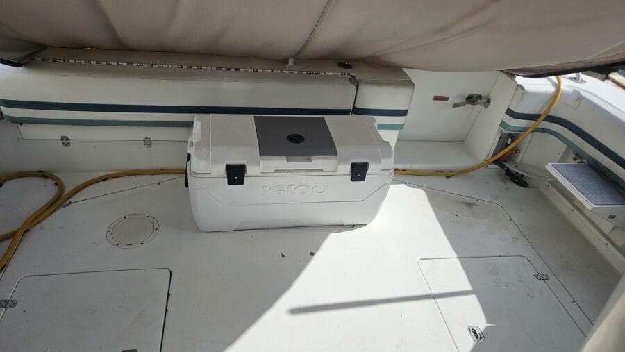 1990 Trojan 11M Express