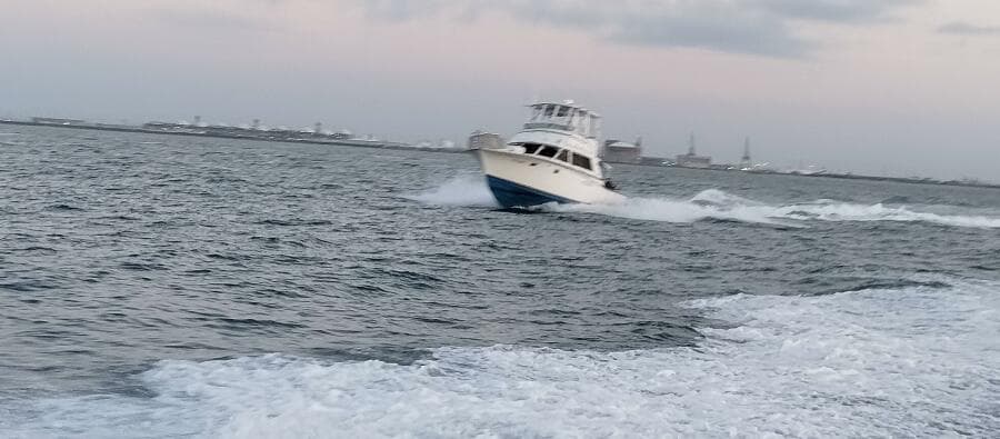 1983 Bertram 385 Convertible Cast Off II