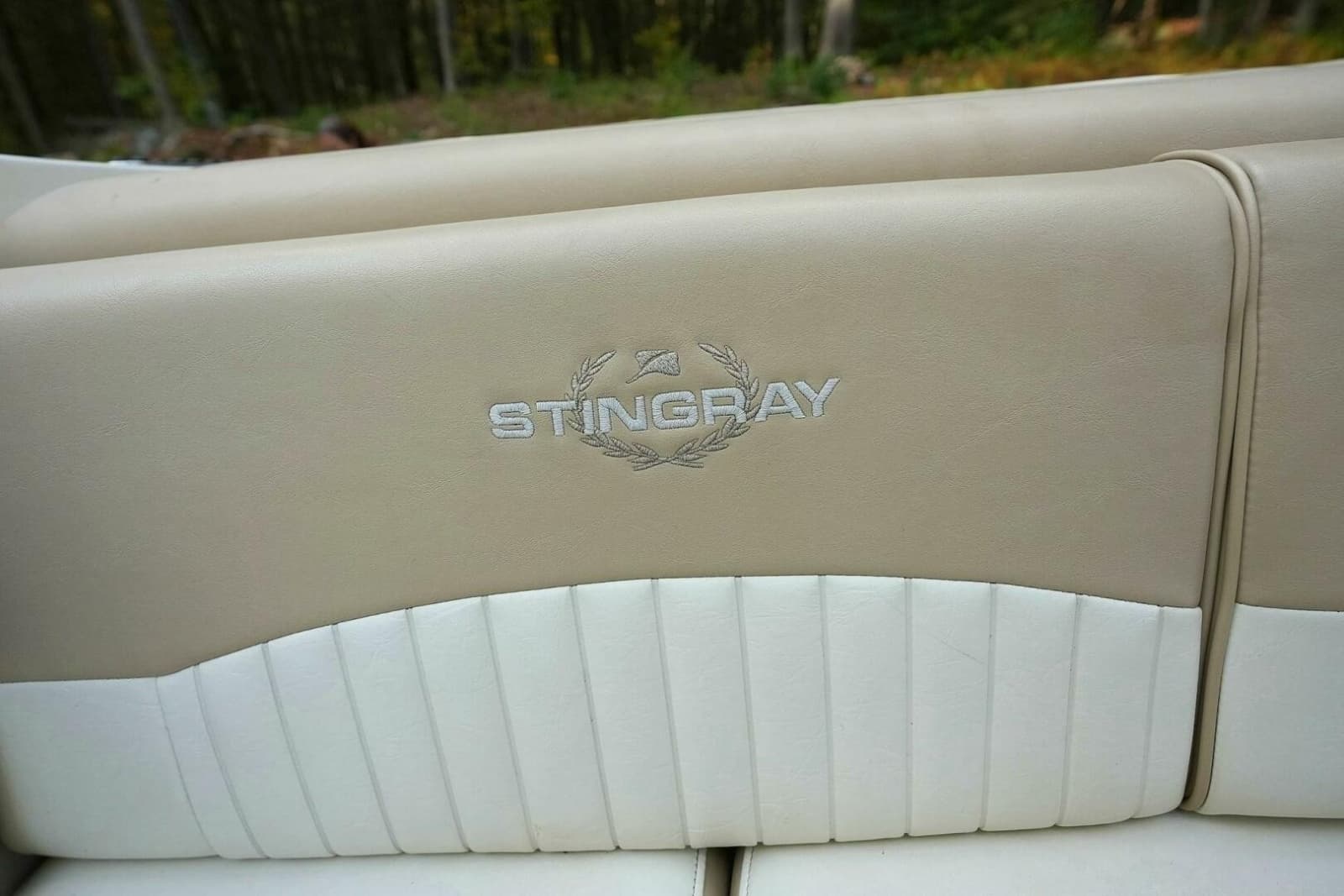 2016 Stingray CR 225 - Photo 33