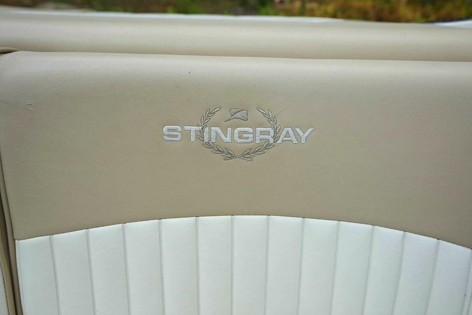 2016 Stingray CR 225 - Photo 60