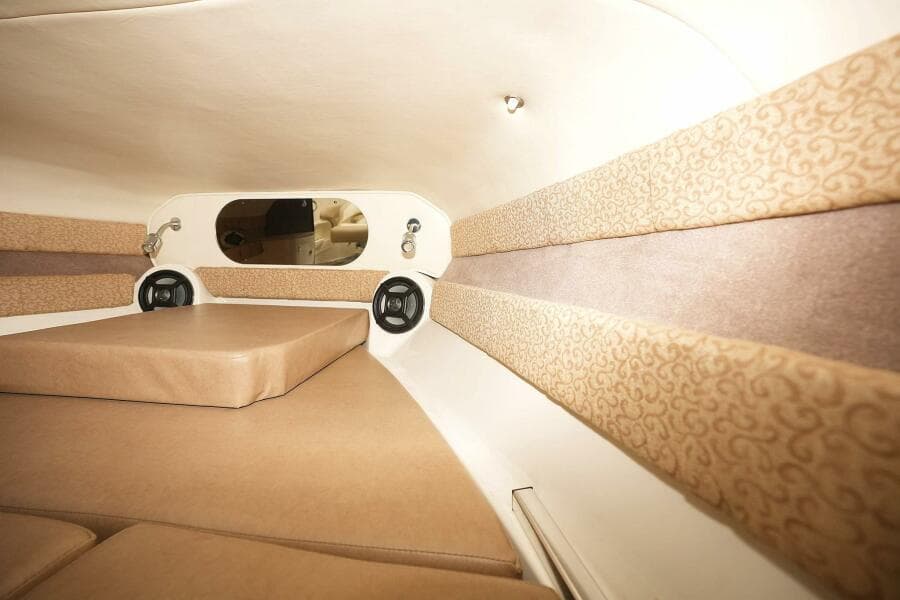 2016 Stingray 225 CR