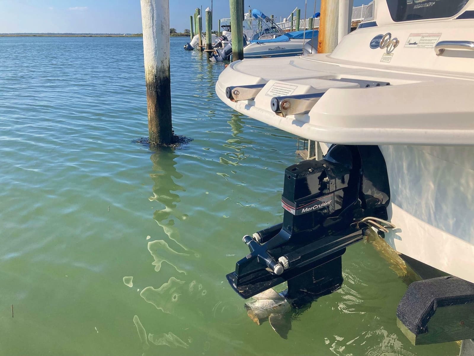 2012 Sea Ray 190 Sport - Photo 11