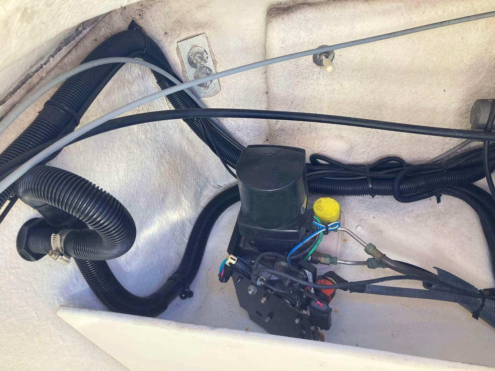 2012 Sea Ray 190 Sport - Photo 29