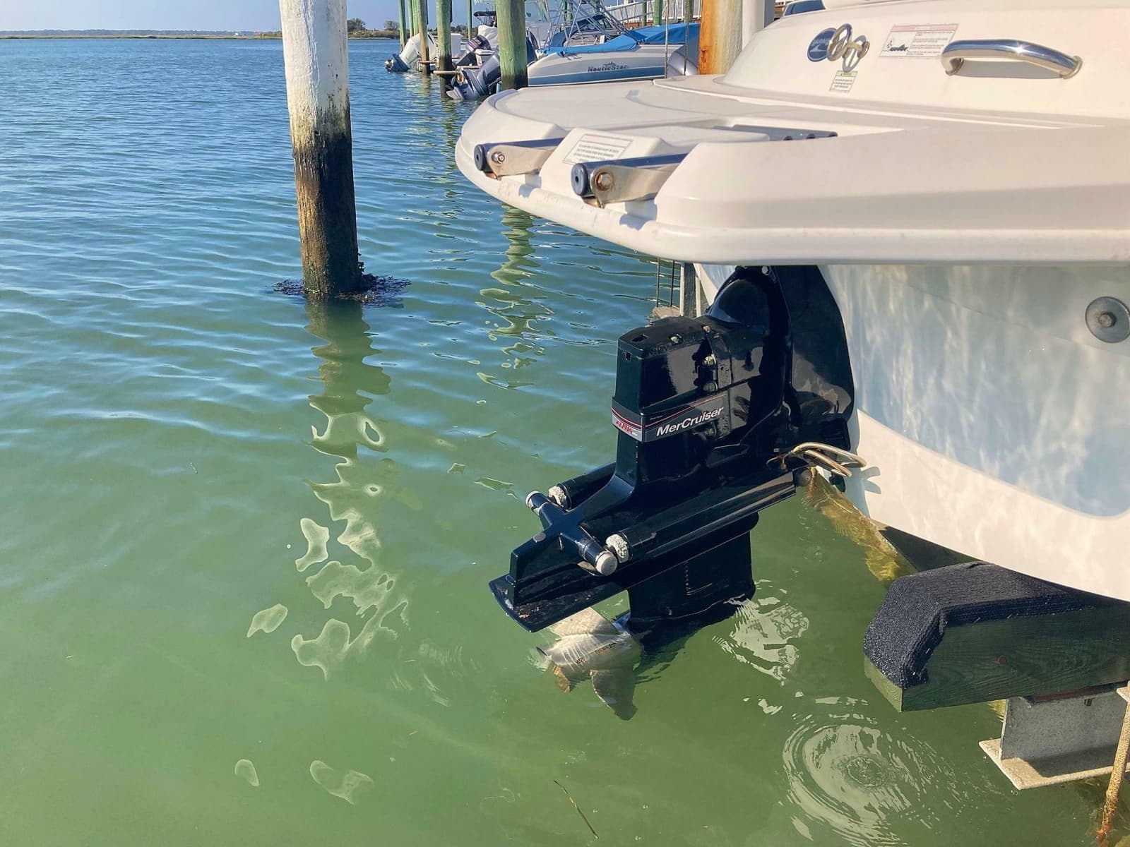 2012 Sea Ray 190 Sport - Photo 12