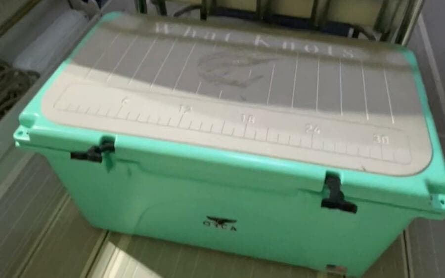 1990 Wellcraft Scarab 30 Cuddy