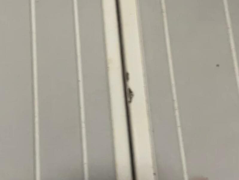 1990 Wellcraft Scarab 30 Cuddy