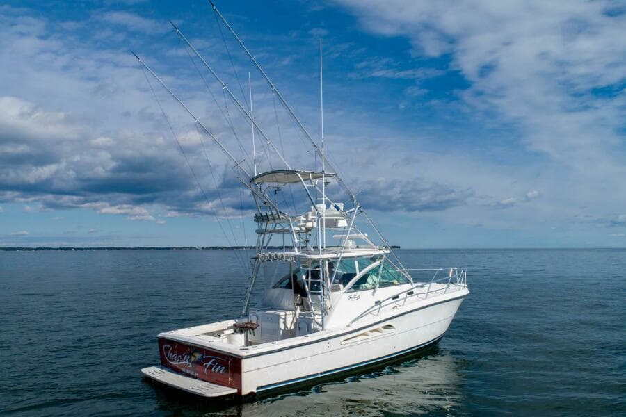 2006 Rampage 38 Express - Photo 33