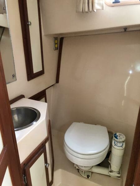 1990 Shannon Brendan 28