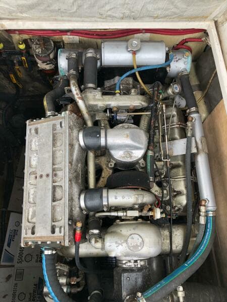 1990 Shannon Brendan 28