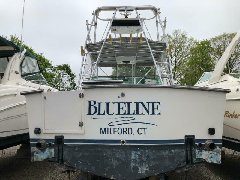 1990 Shannon Brendan 28