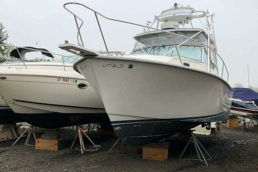 1990 Shannon Brendan 28