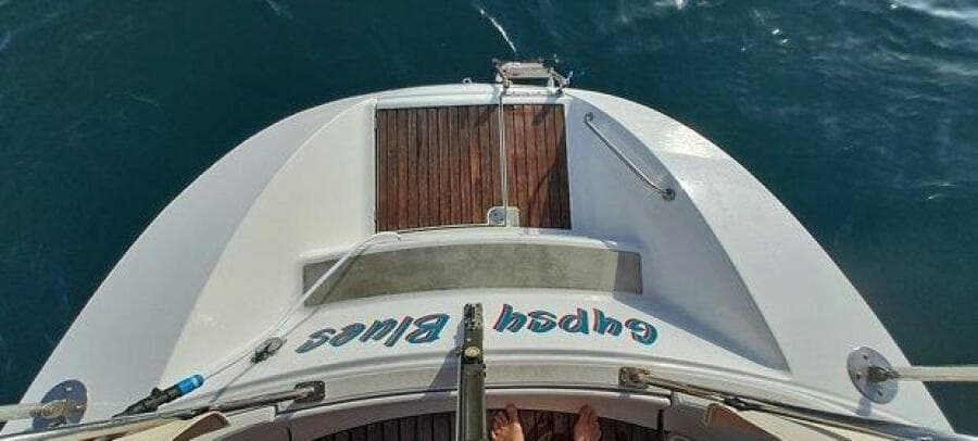 M_Sugar Scoop Transom