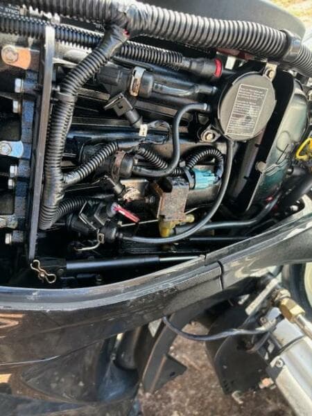 1999 Wagner Flats 16