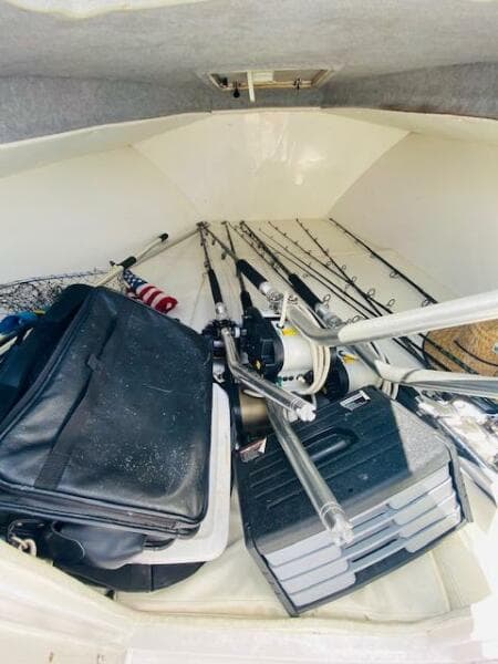 2004 Contender 31 Cuddy