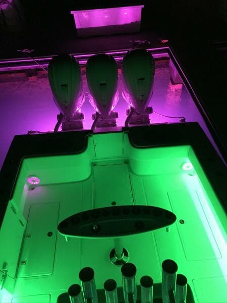 2020 SeaHunter 39 Tournament