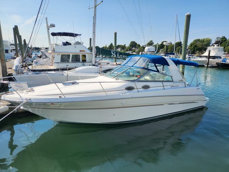 1998 Sea Ray Sundancer - Photo 2