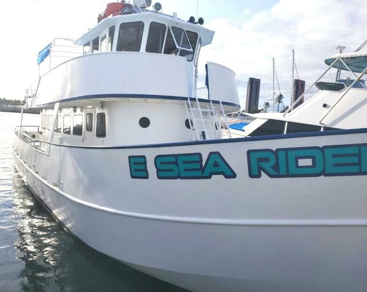 1982 Custom Commercial Steel Passenger