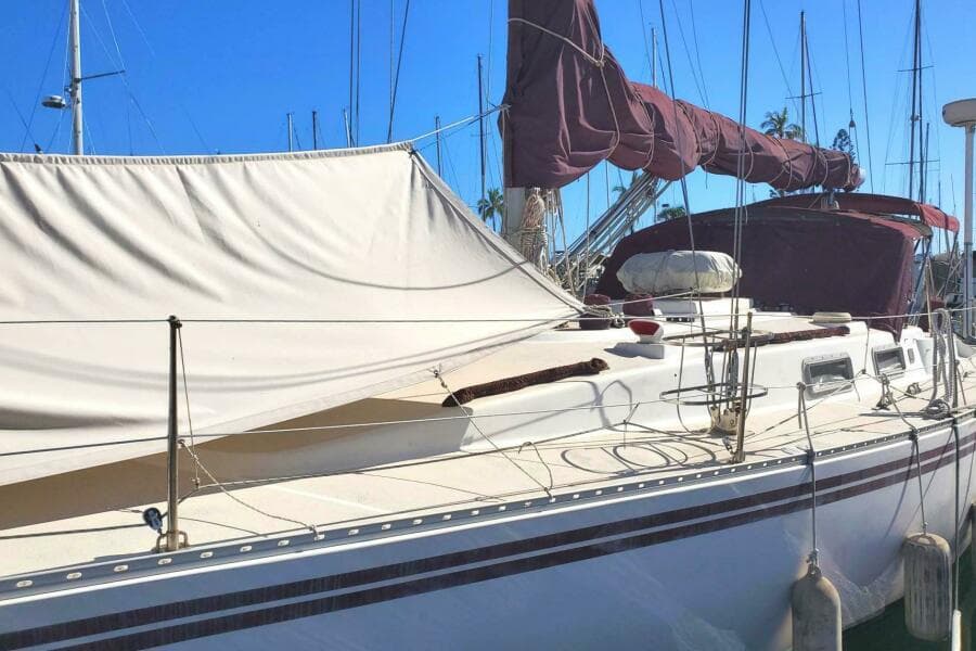 1983 Morgan Nelson Marek 45-4