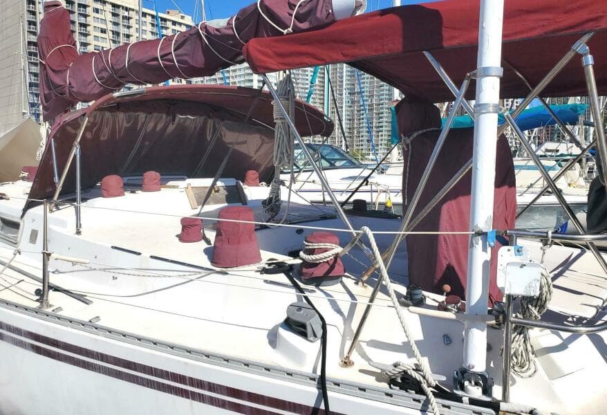 1983 Morgan Nelson Marek 45-4