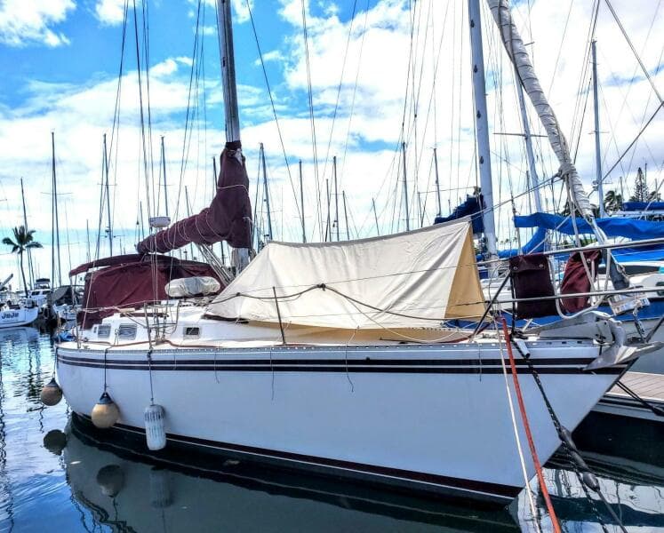 1983 Morgan Nelson Marek 45-4