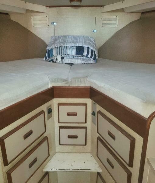 1979 Bertram 38 Convertible Sportfisher