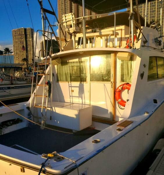 1979 Bertram 38 Convertible Sportfisher