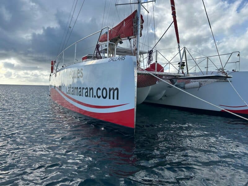 2019 Custom  - Photo 68
