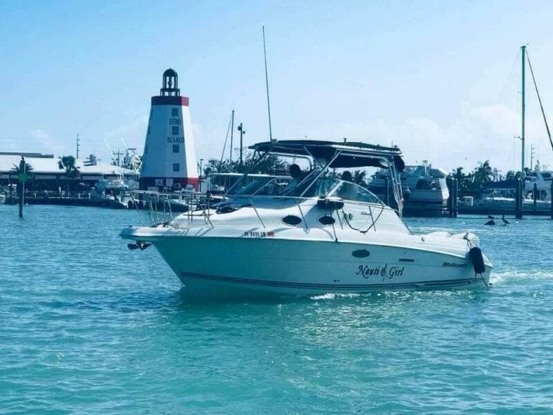 2001 Wellcraft 270 Coastal