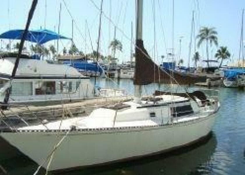 1981 Newport C and C Sloop