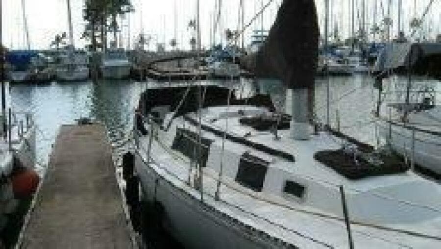 1981 Newport C and C Sloop