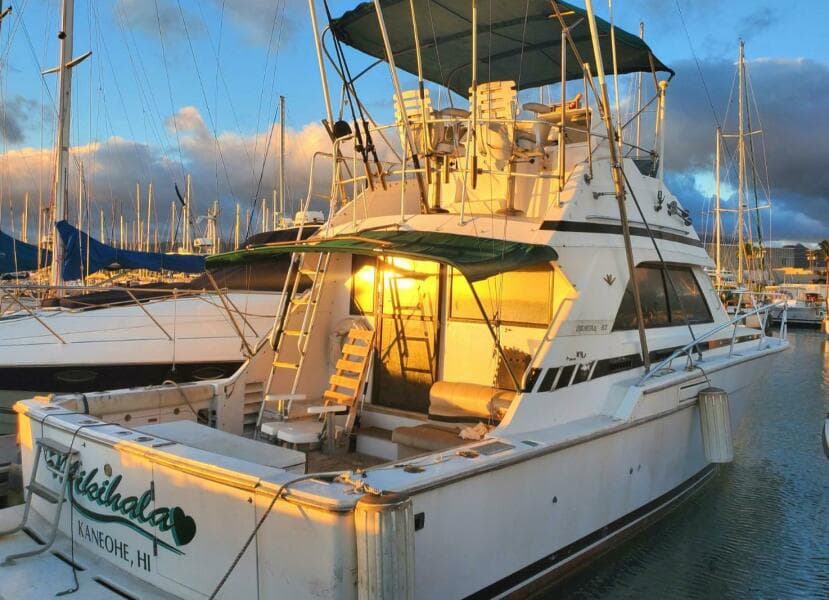 1988 Bertram 37 Convertible