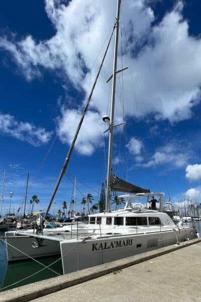 2010 Lagoon  - Photo 3