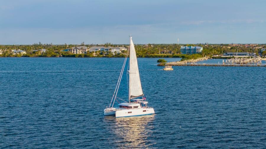 2019 Lagoon  - Photo 111