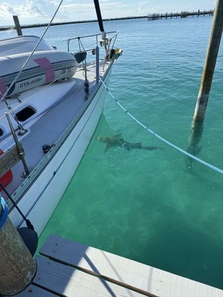 2001 Catalina 400 MKII