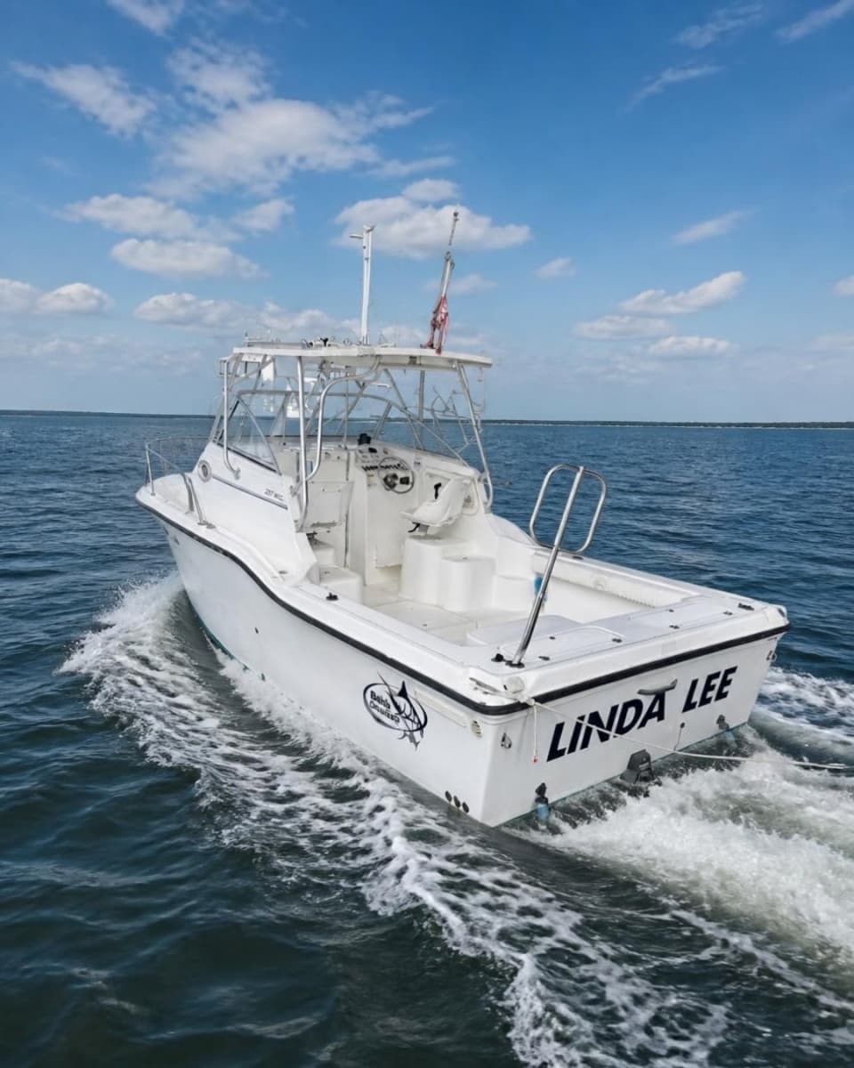2005 Baha Cruisers 257 WAC - Photo 2