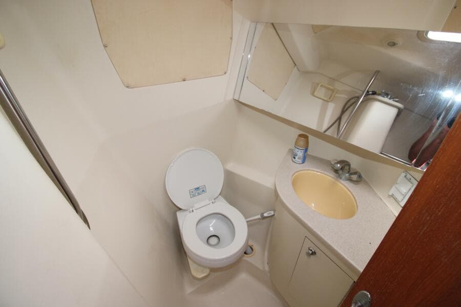 Forward Head Compartment