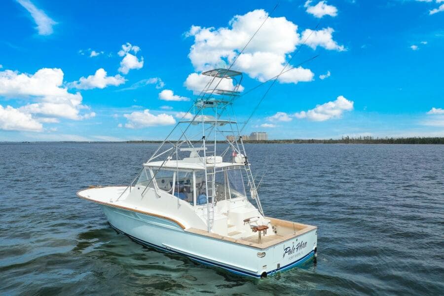 2006 Buddy Davis 48 Express PALE HORSE