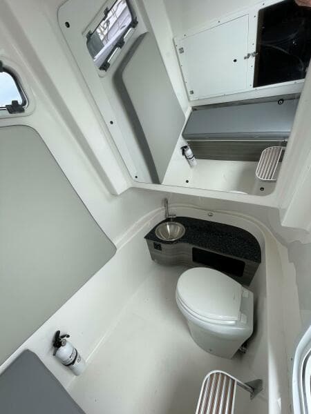 Sea Pro 320 DLX 2023- Head