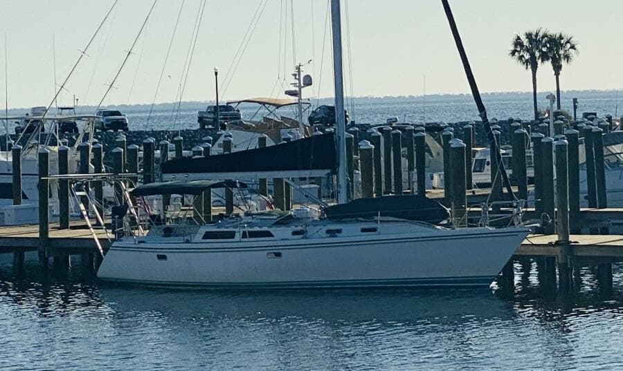 Catalina 42